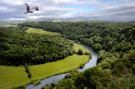 River Wye, Herefordshire River Wye